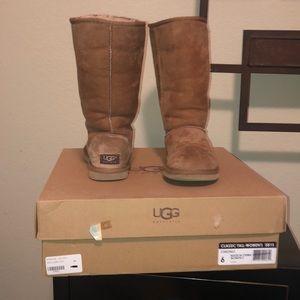 Classic Tall Chestnut